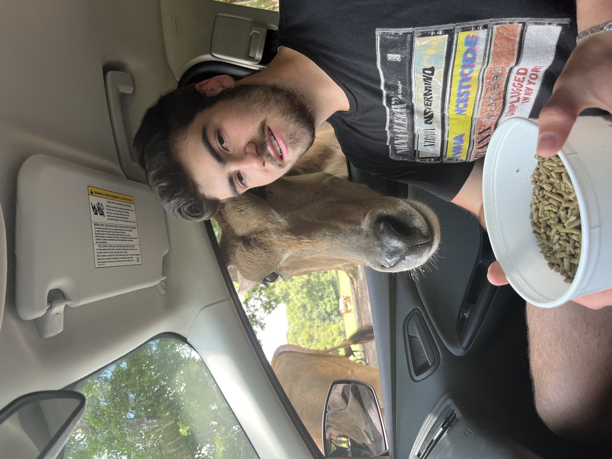 Matt Kahler holding a feed bucket while an antelope pokes its head in the car window
